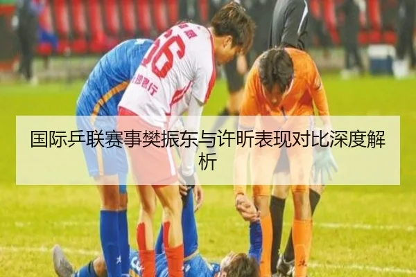 国际乒联赛事樊振东与许昕表现对比深度解析